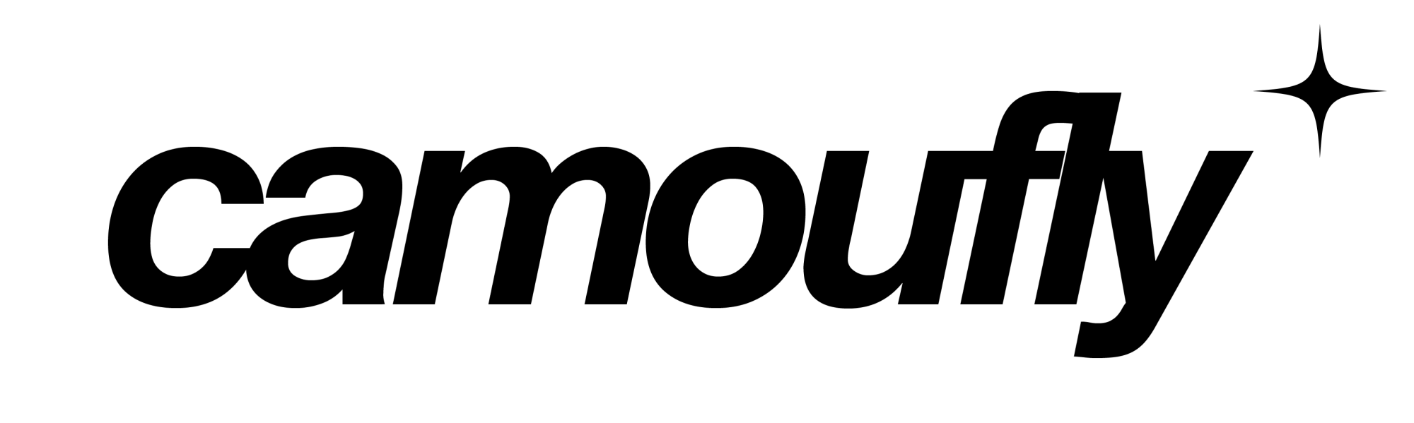 camoufly Logo